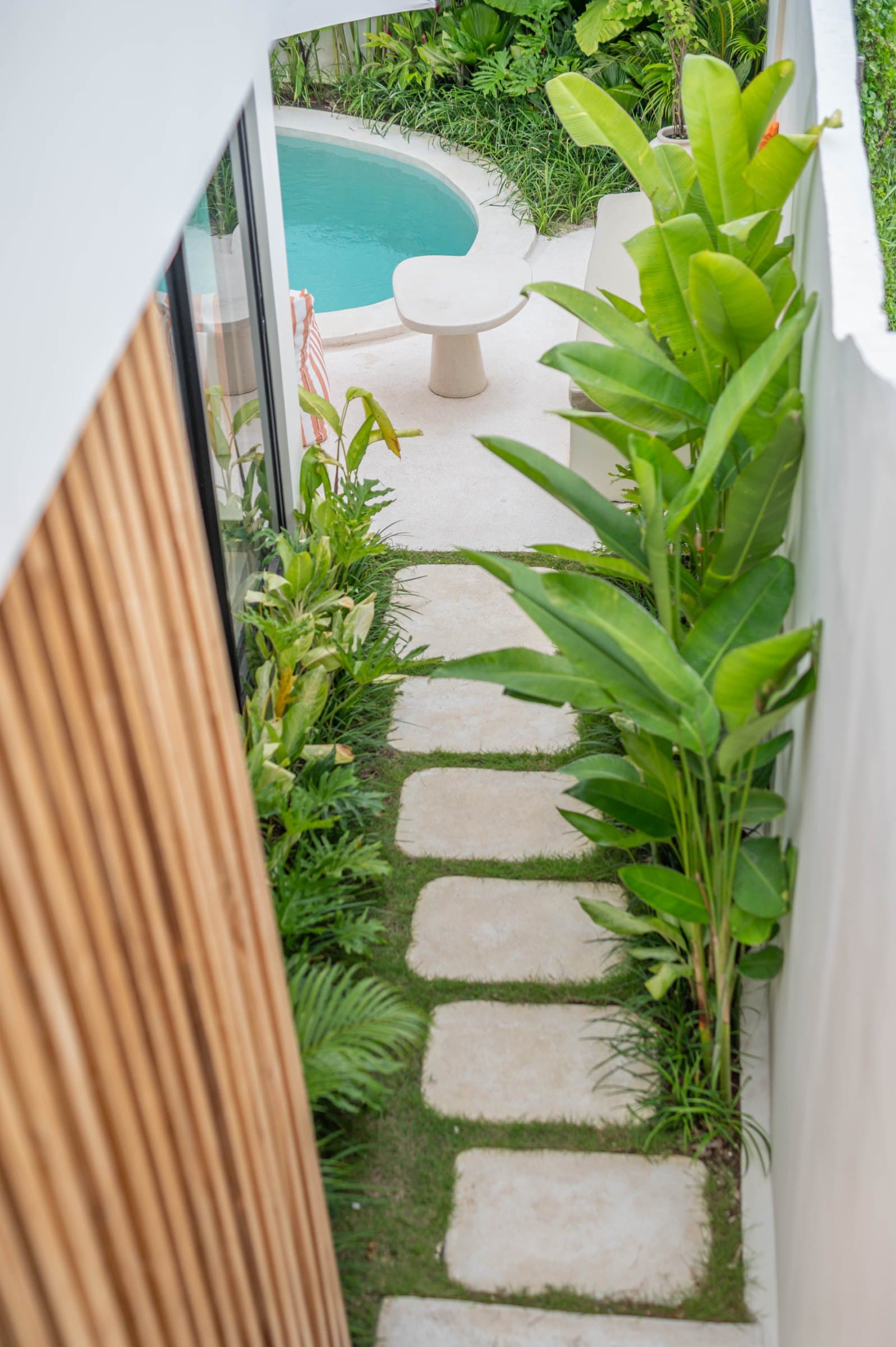 Garden path to the entrance